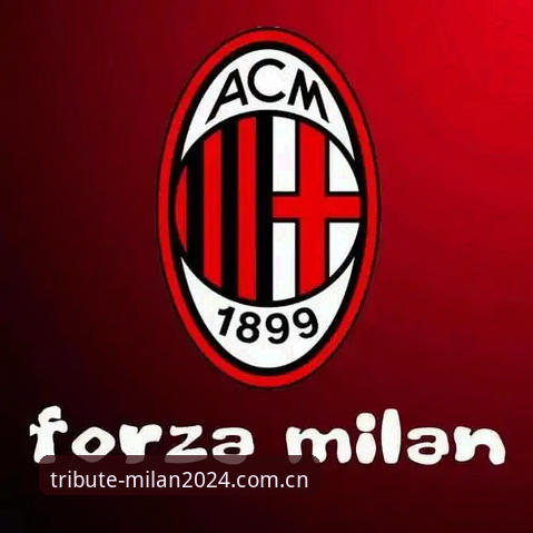 米兰MILAN中国2024致敬版使用说明